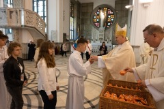 CHL_7877